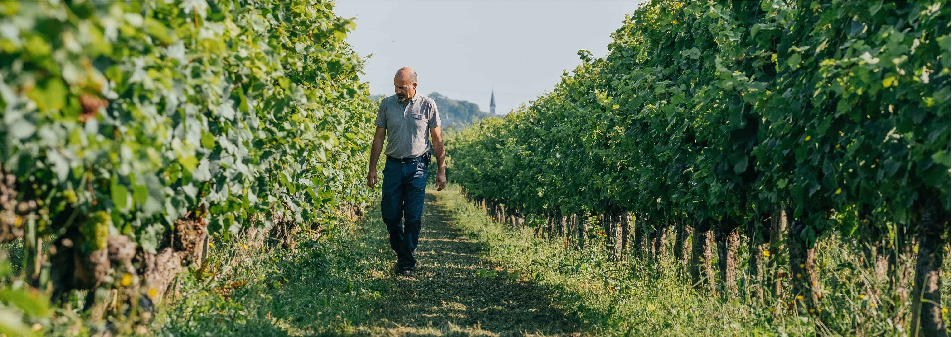 Coffret "Trilogie Pinot Noir"