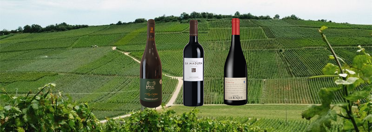 Coffret “Les incontournables du Languedoc”