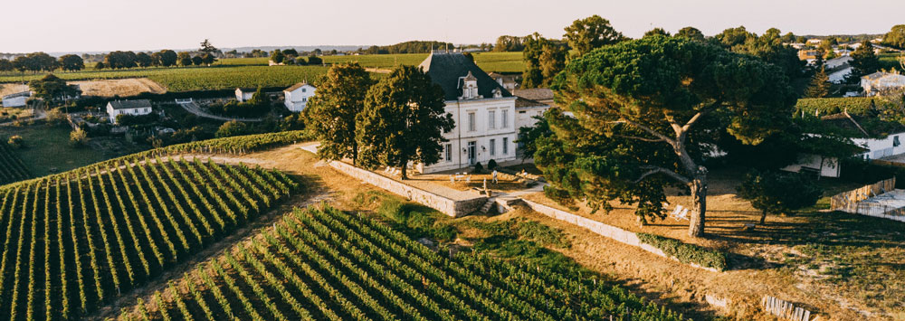 vendanges-tournefeuille