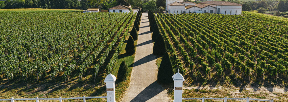 vendanges-tournefeuille