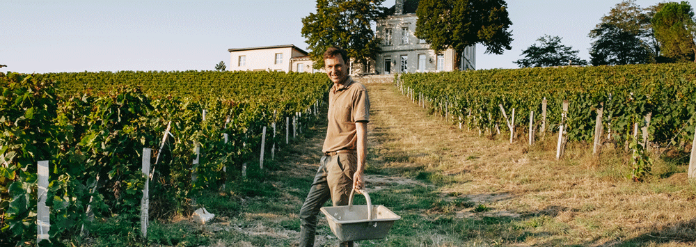 vendanges-tournefeuille