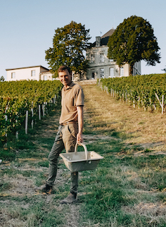vendanges-tournefeuille