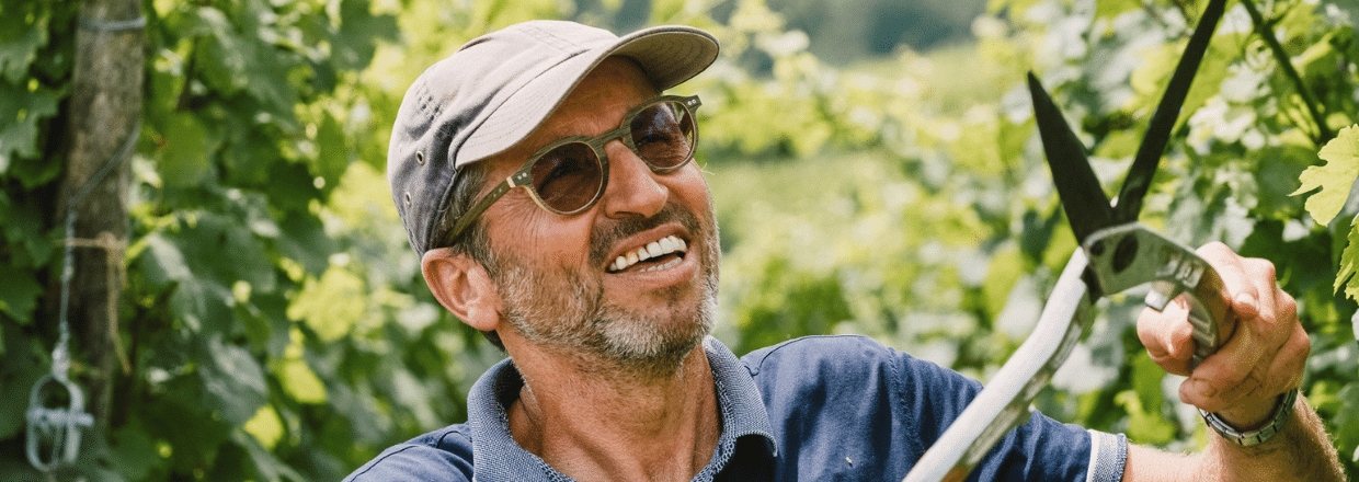 Producteur du domaine Camille Braun