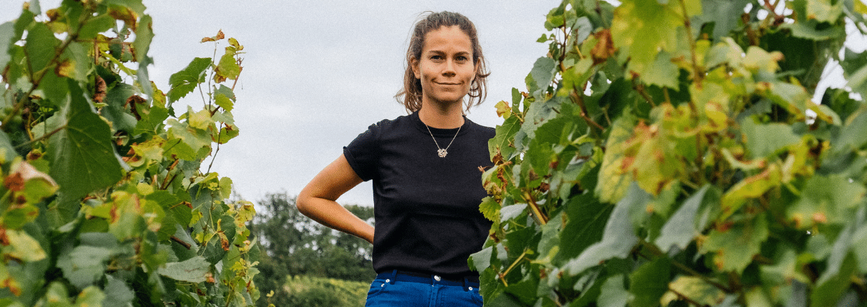 Domaine d'Henri