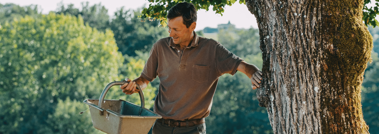 Saint-Émilion Grand Cru 2020
