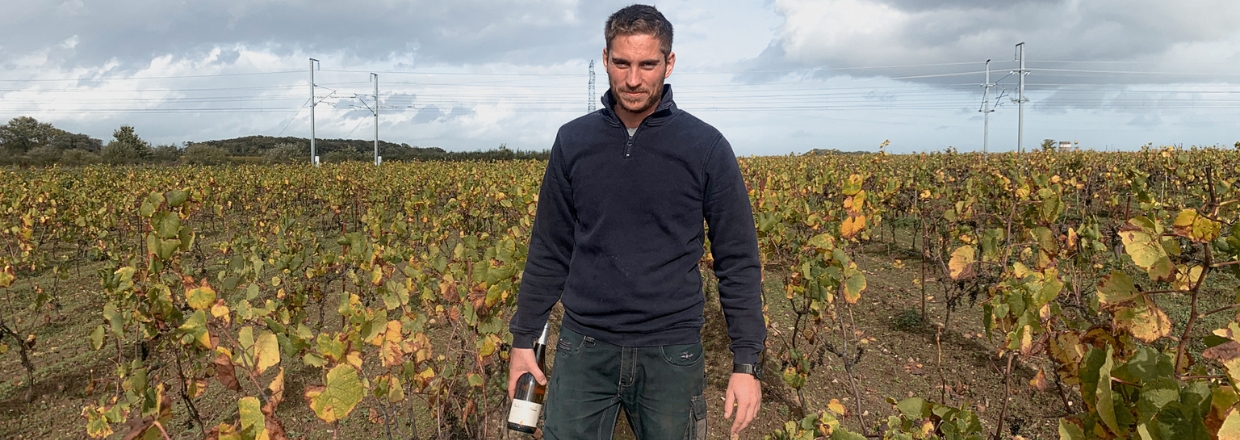 Muscadet
