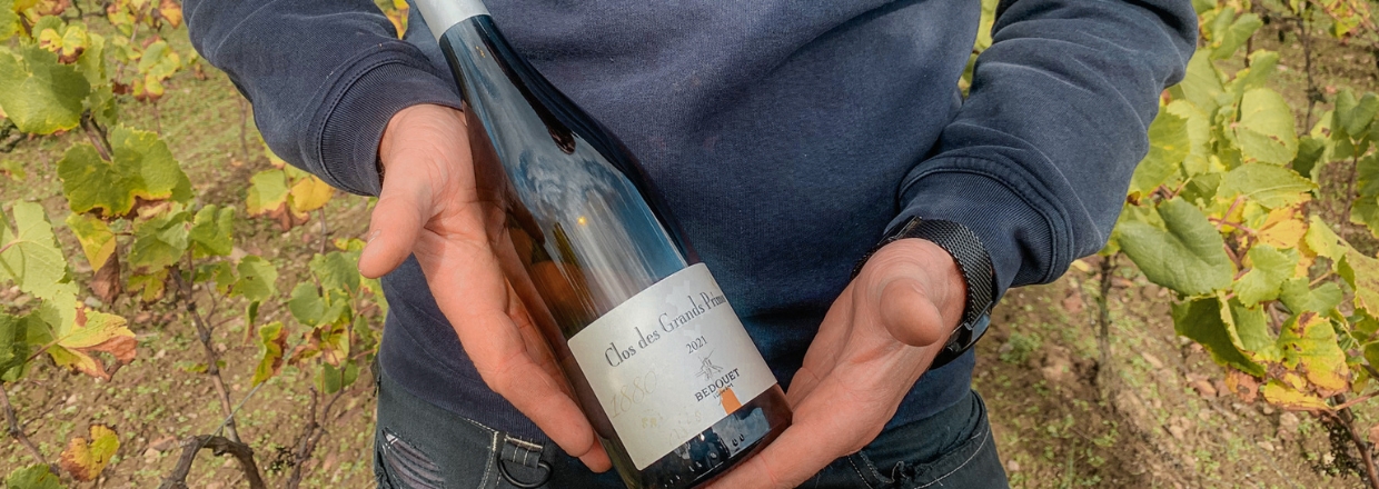 Muscadet