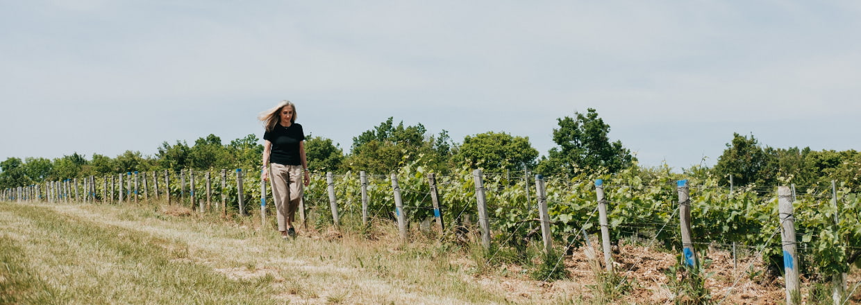 Parcelle du domaine Louis Moreau