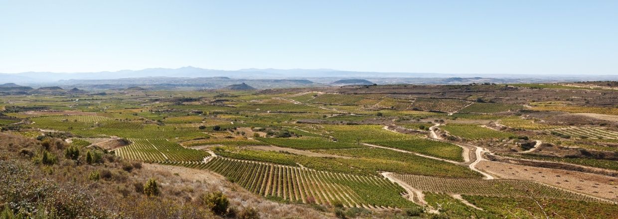 domaine exopto vue drone
