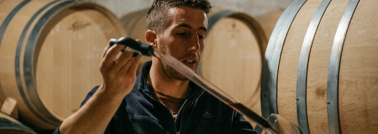 Crozes-Hermitage 2023