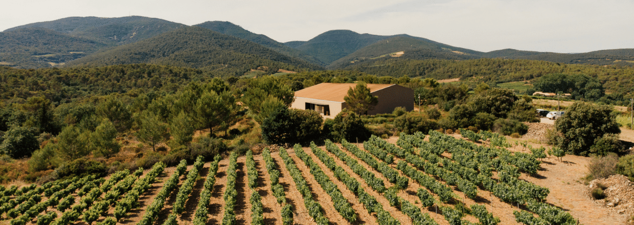 Saint-Chinian La Canopée au Domaine de la Madura
