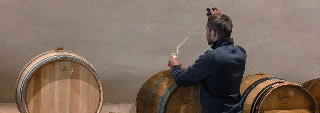 Muscadet