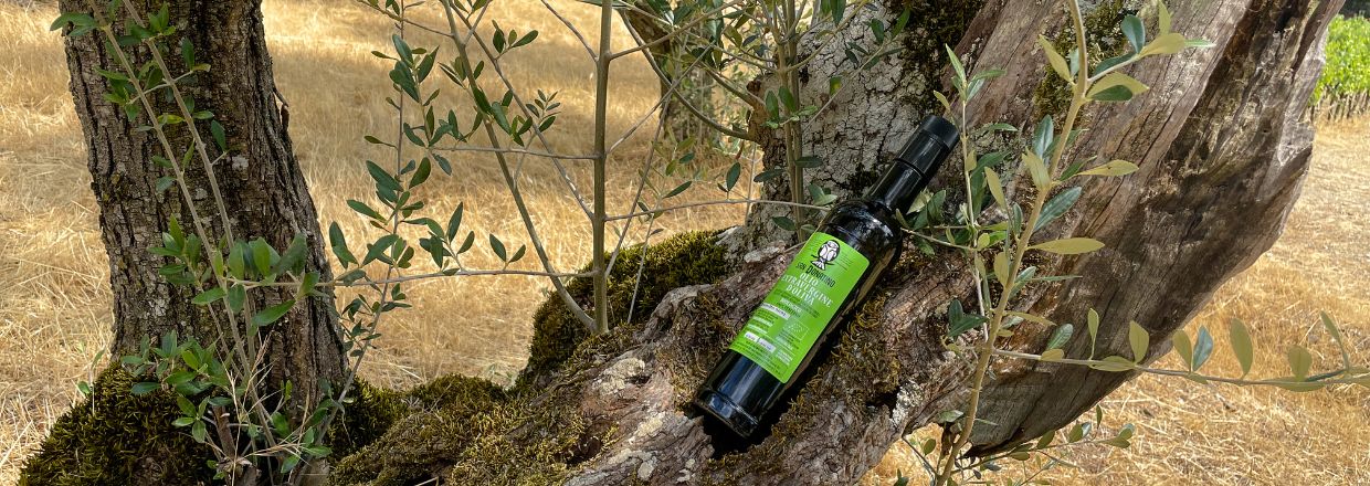 bouteille huile san donatino