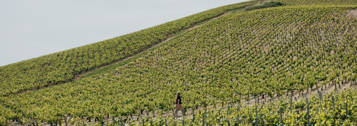 Plaine du domaine Louis Moreau