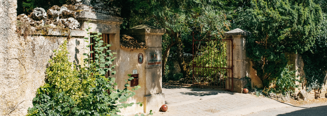 Vigne Côte de Nuits-Villages 2018