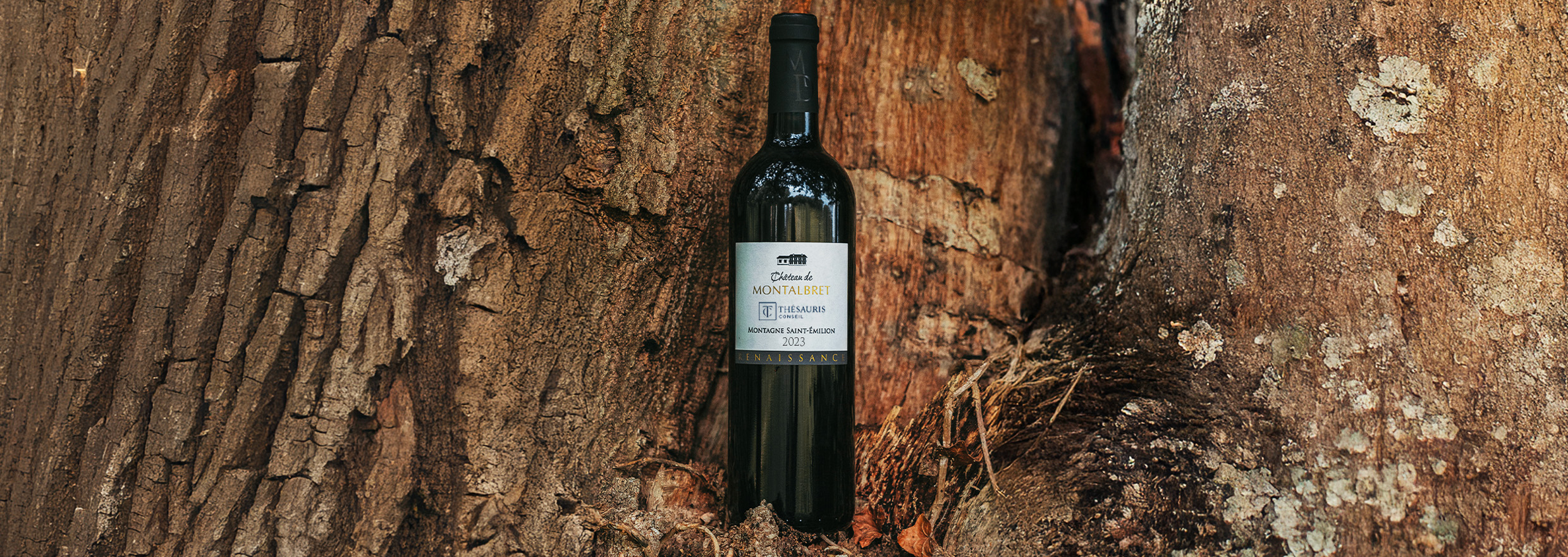 Montagne St Emilion Montalbret