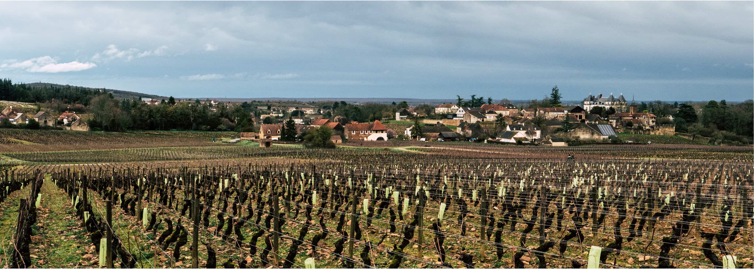 Domaine de viticole du Château de Chamirey