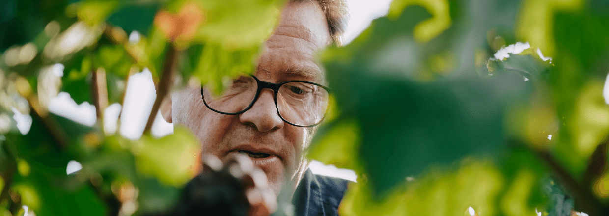 champagne vigneron