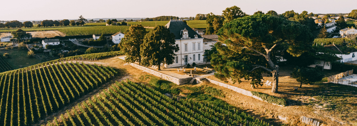 Vignes et paysage du domaine Tournefeuille
