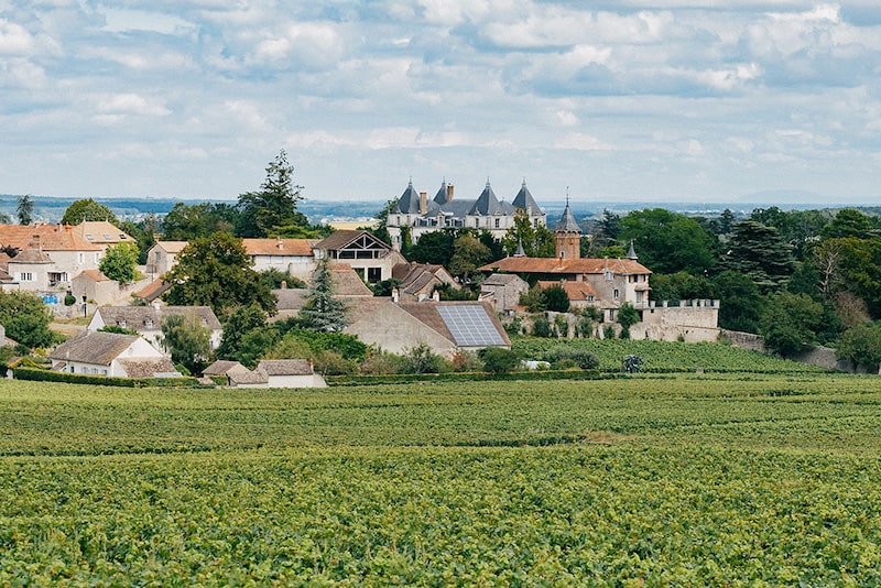 Vignes de Mercurey bourgogne