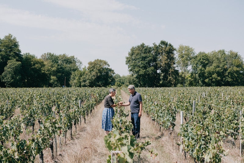 Adopter une vigne ou parrainer un vignoble