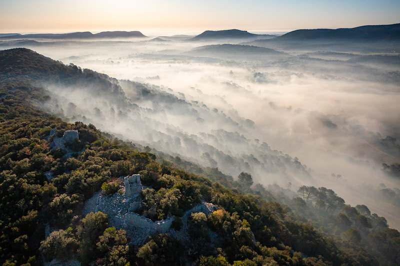 Climat Pic Saint-Loup