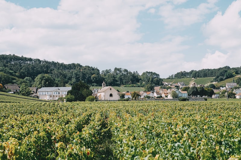 domaine cluzeaud bourgogne