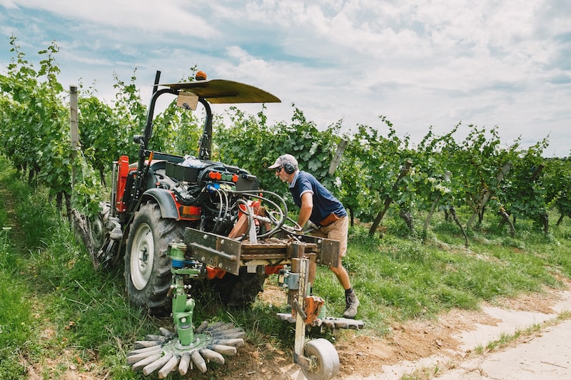 metier vigneron