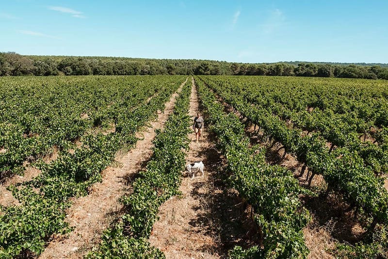 provence domaine beaupre