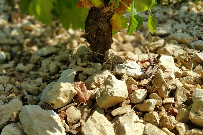 caillottes terroir Sancerre