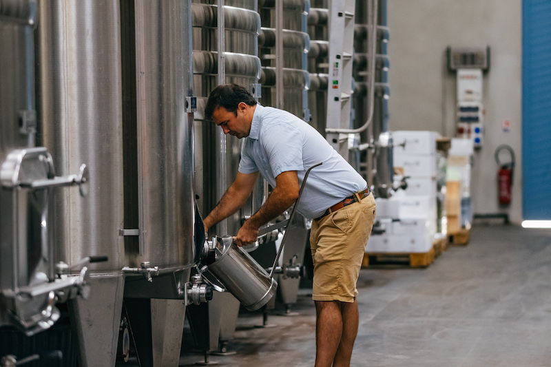 vigneron et cuverie