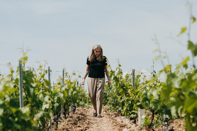 Vigneronne de Chablis Domaine Louis Moreau 