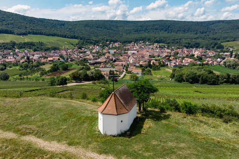 Vignoble alsacien produit vins sucrés