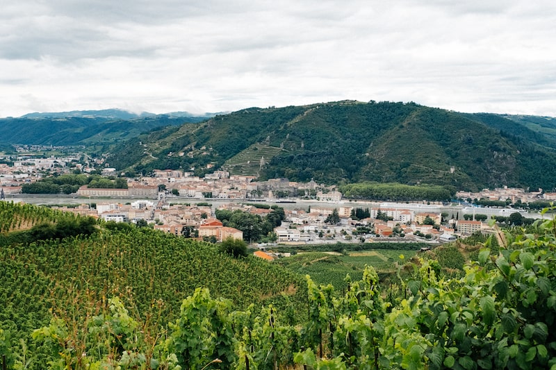 Vignoble Crozes Hermitage