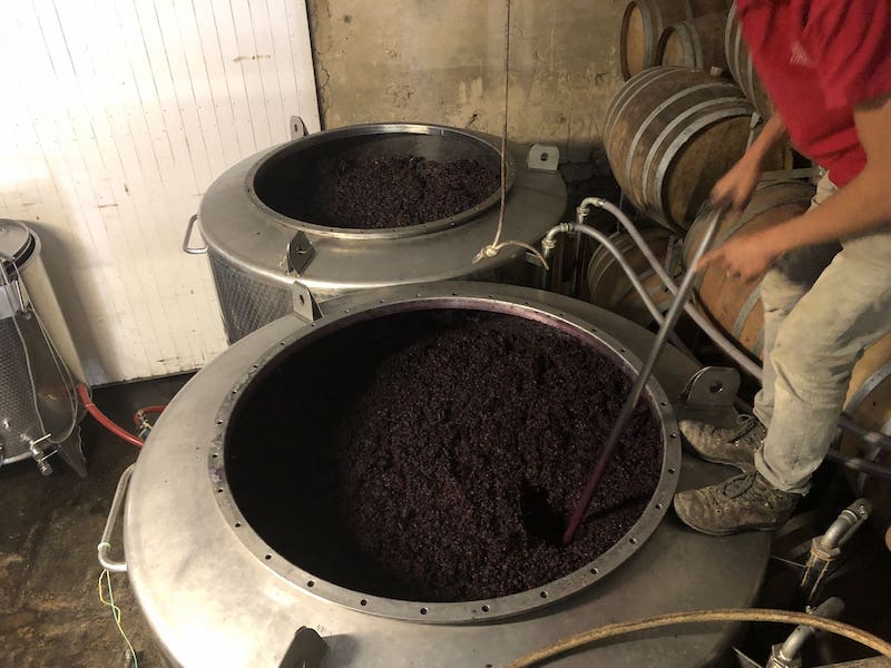 vinification pigeage vin rouge