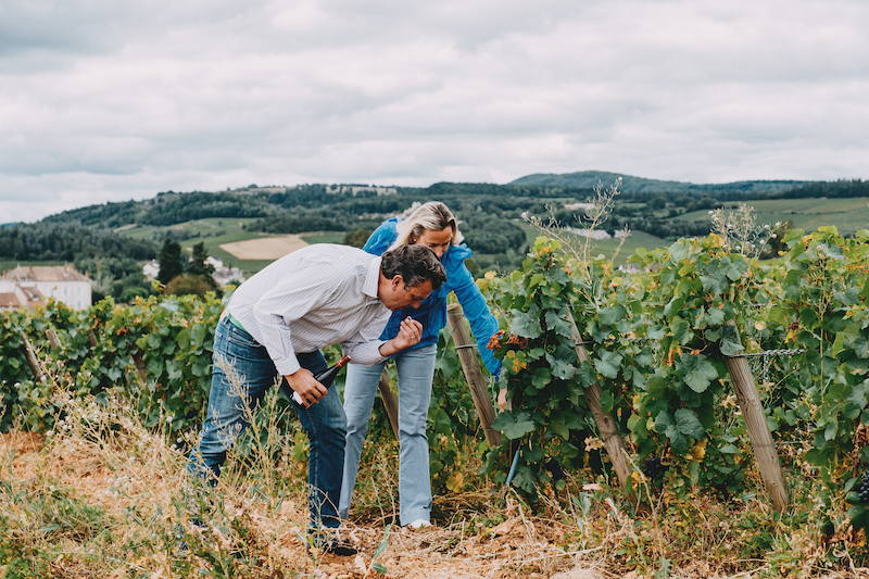 Visite-vignes