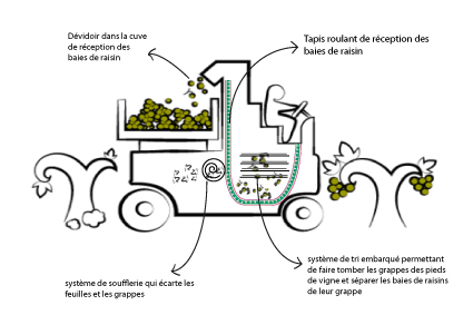 Schéma fonctionnement machine à vendanger